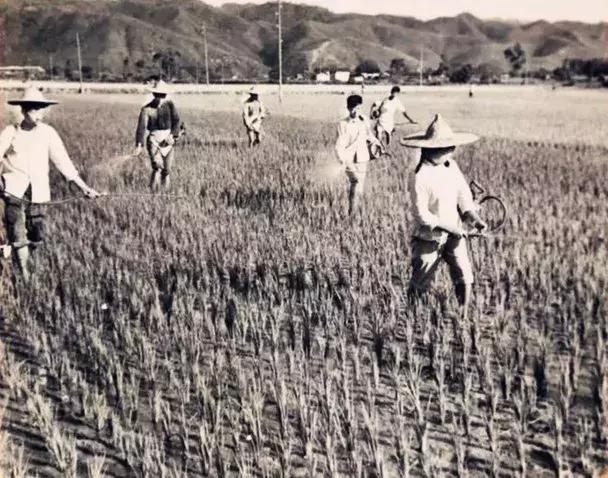 100张绝密南康老照片,100张信丰绝密老照片