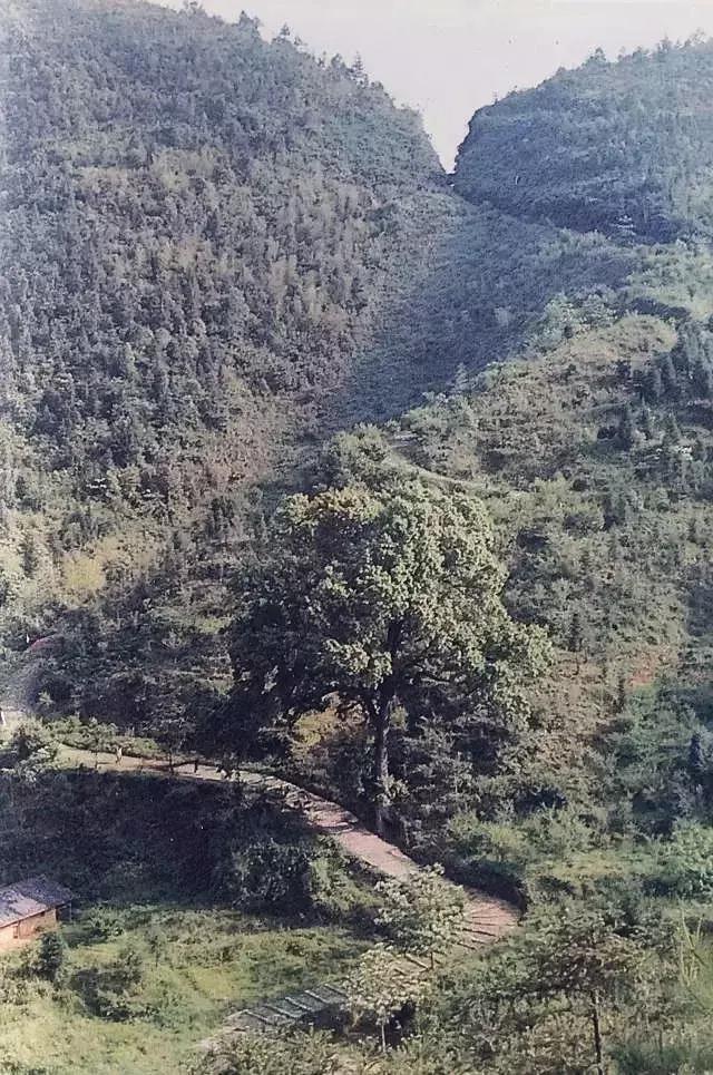 100张绝密南康老照片,100张信丰绝密老照片