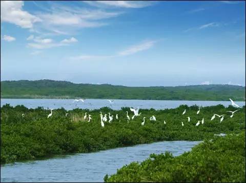 重磅！福清上榜全省经济实力十强！
