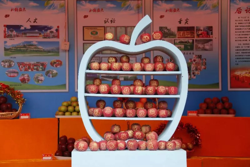 中国首届农民丰收节陕西分会场,陇南中国农民丰收节热点