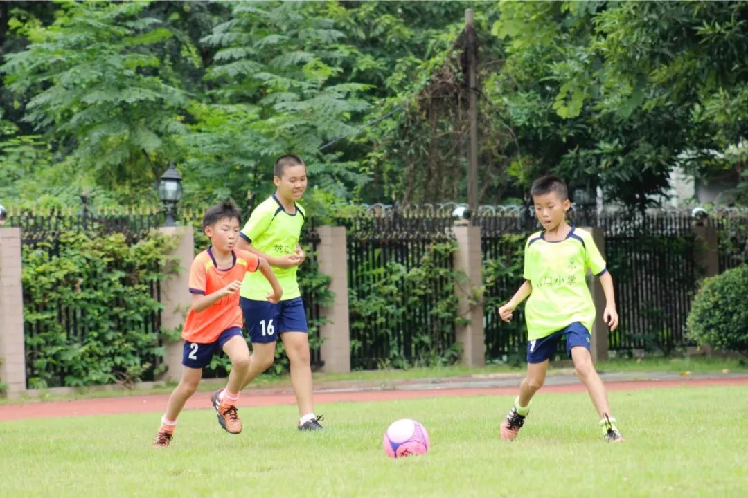 广东全国足球特色学校,国家级足球特色学校4所上榜