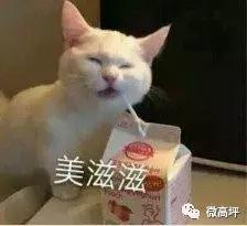 山语城业主状告物业,关于小区物业因业主停车冲突舆情