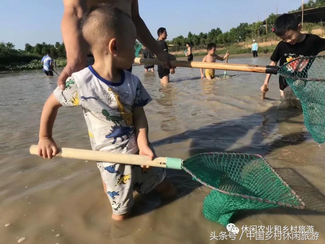 农业体验活动创意项目,休闲农业体验活动评估