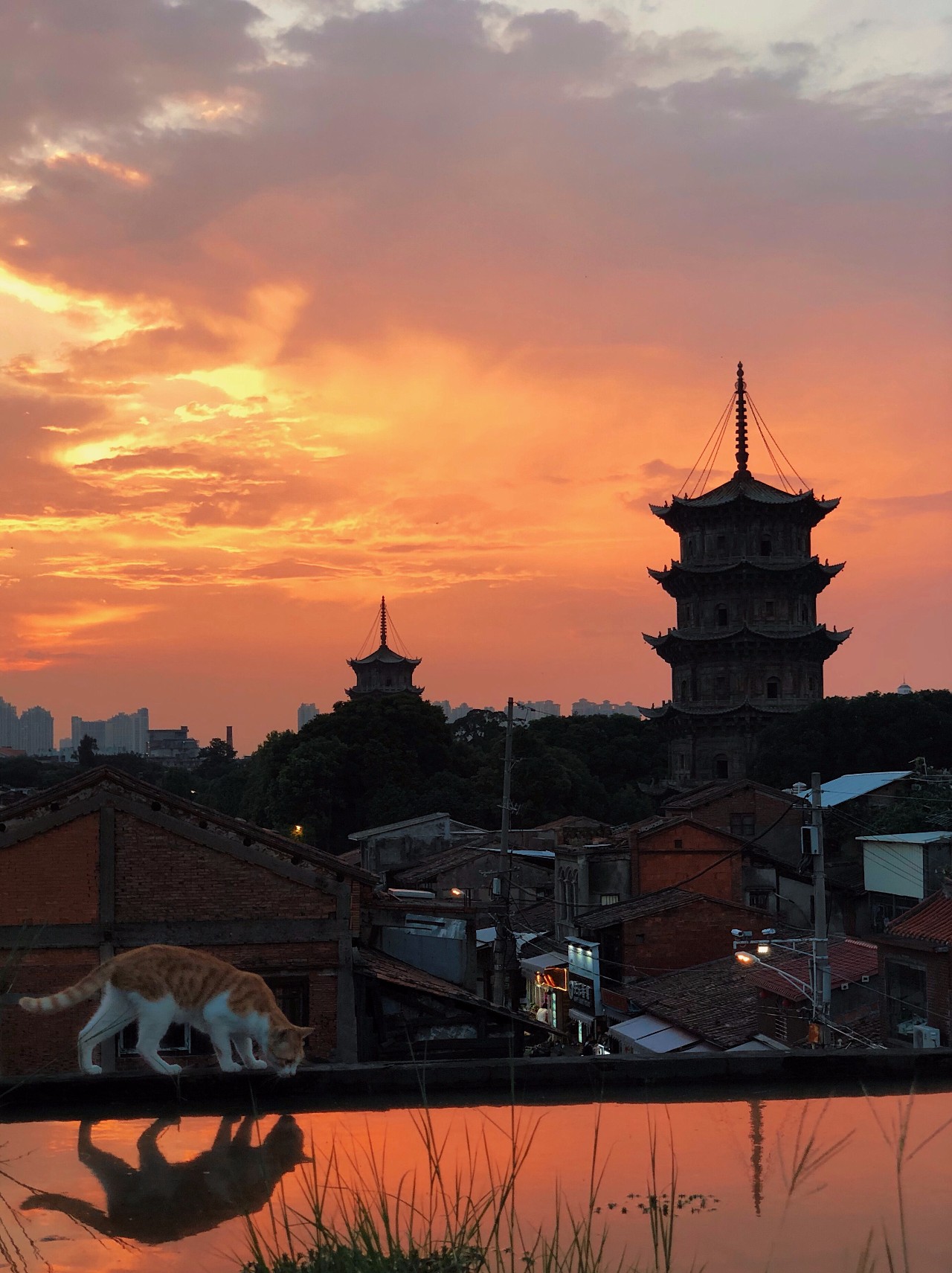 闽南泉州和厦门是一样的吗,福建厦门泉州