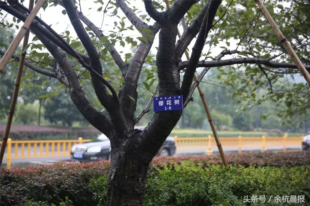 临平路南北通道匝道出入口,又一条隧道开通了吗