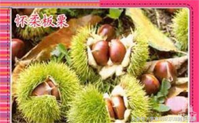 紫塞旅游景点,紫塞城市旅游攻略