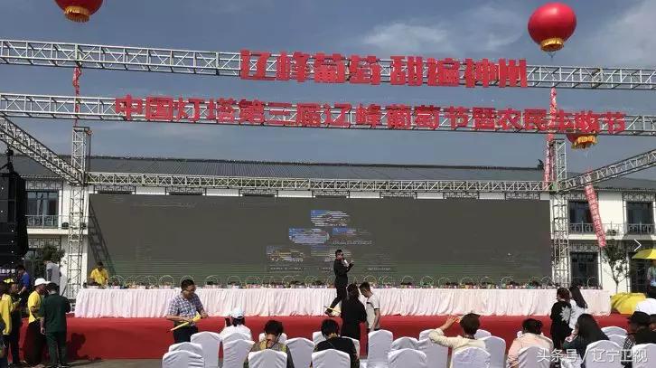 辽宁粮食节直播,辽宁卫视丰收节现场直播