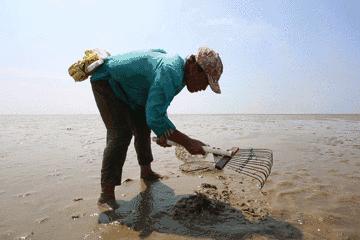 开海特别新鲜的海鲜有哪些,开海了有什么应季海鲜