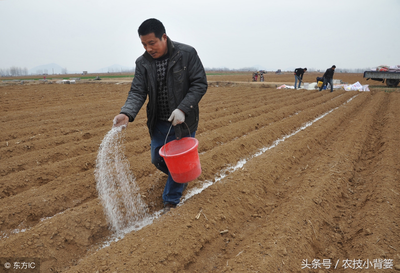 氯化钾和复合肥哪种好,氯化钾和硫酸钾哪个水溶性更好