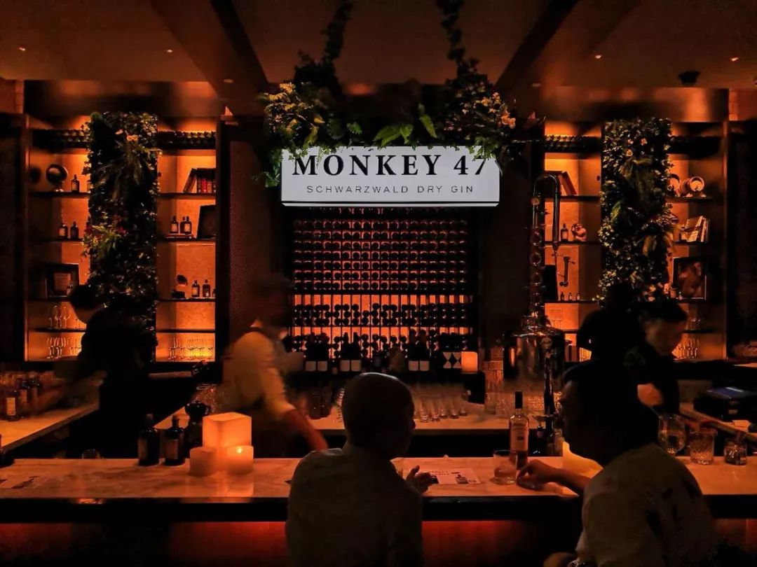 微醺｜“爬梯”落幕、酒劲儿未散，GIN迷去哪续火？