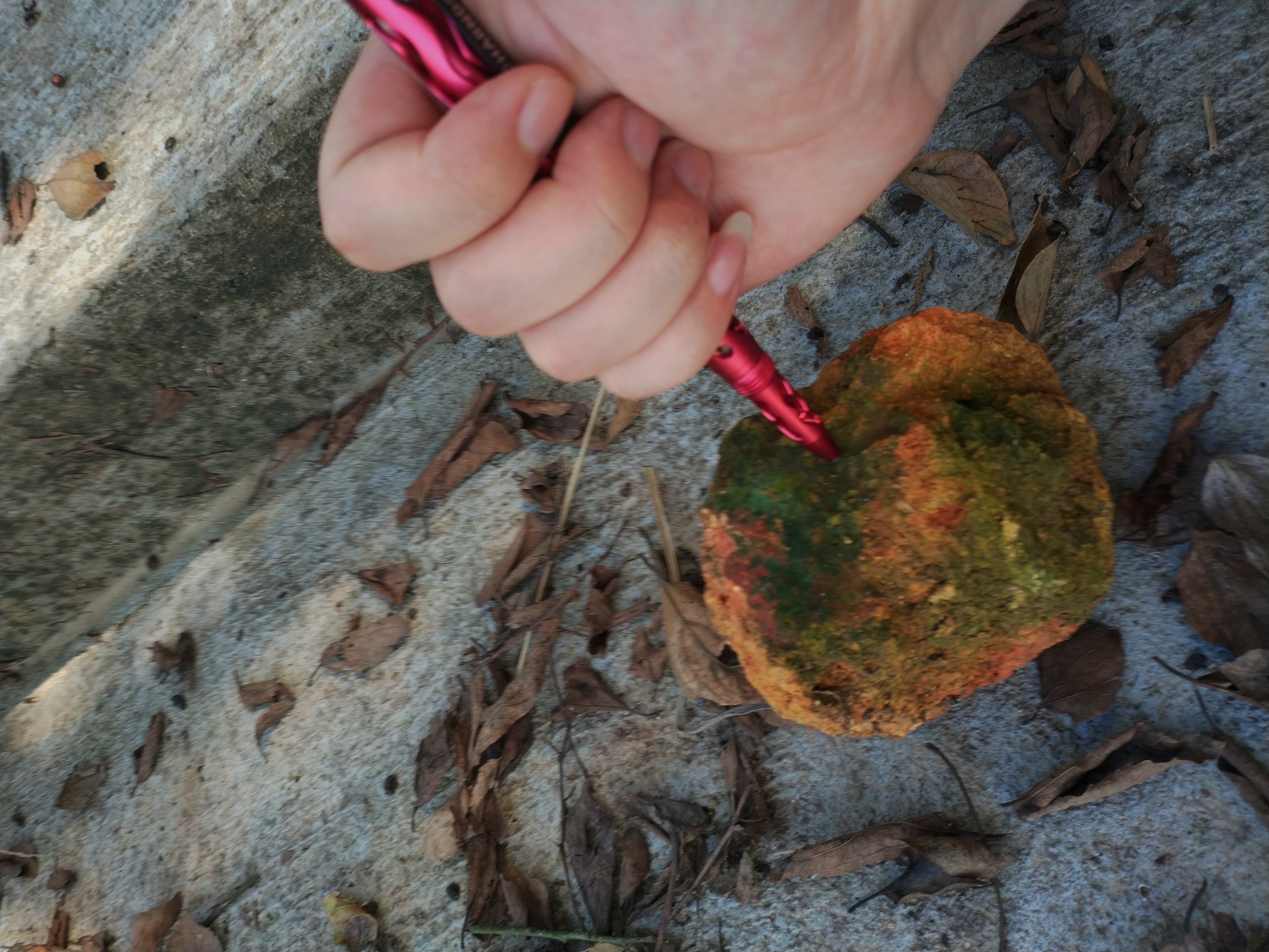 应急利器,防身神器战术笔测评