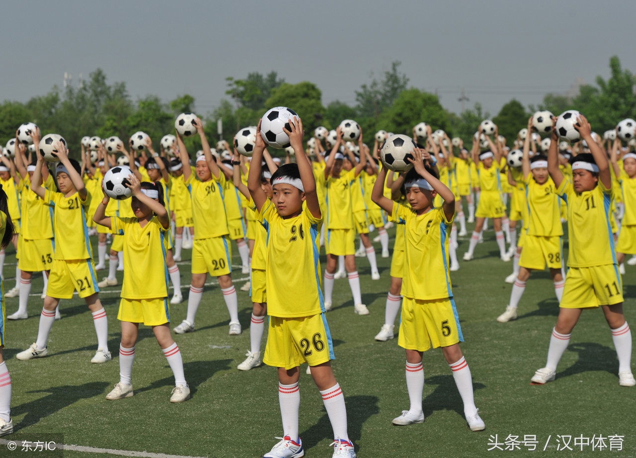 2017年中国足协d级教练员培训班,中国足协d级教练培训班报名