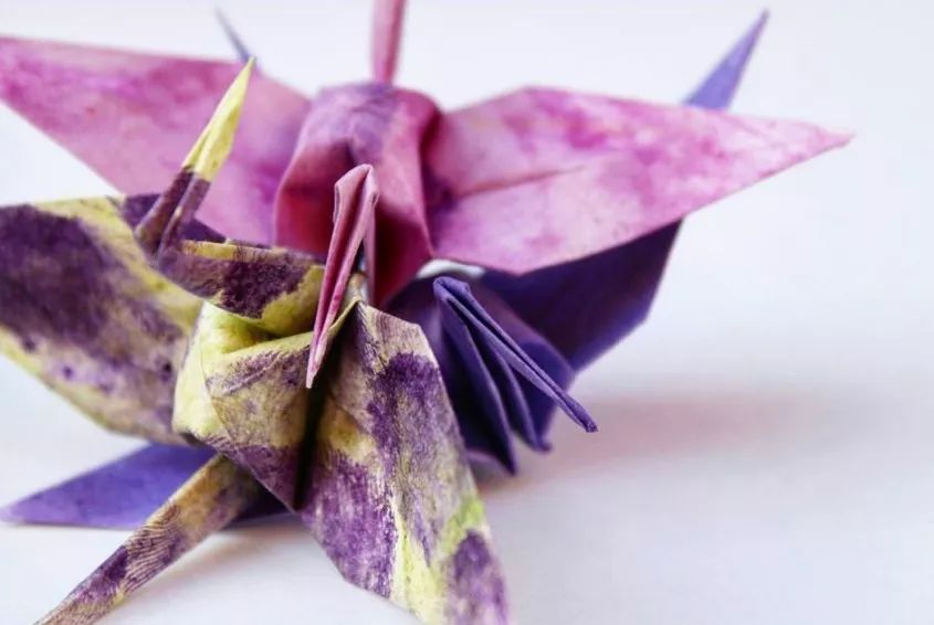 每天折一个千纸鹤,每天折一只纸鹤