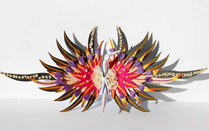 每天折一个千纸鹤,每天折一只纸鹤