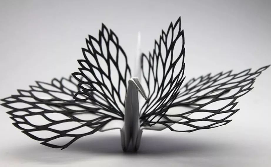 每天折一个千纸鹤,每天折一只纸鹤