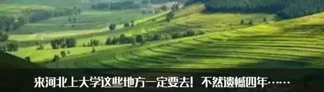 北方最大的银杏林在哪里,中国最大面积的银杏树林在哪里