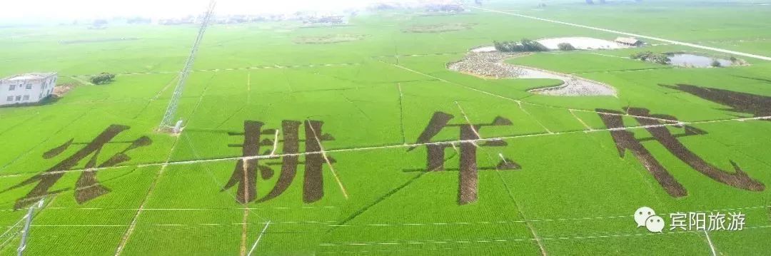 宾阳古辣邀请函,2020年宾阳县古辣