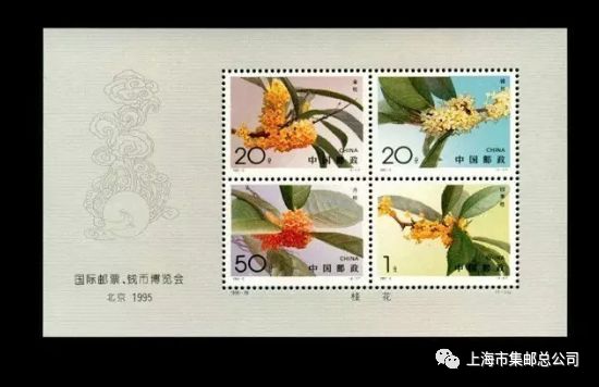 中秋赏月天涯共此时,天涯共此时赏月