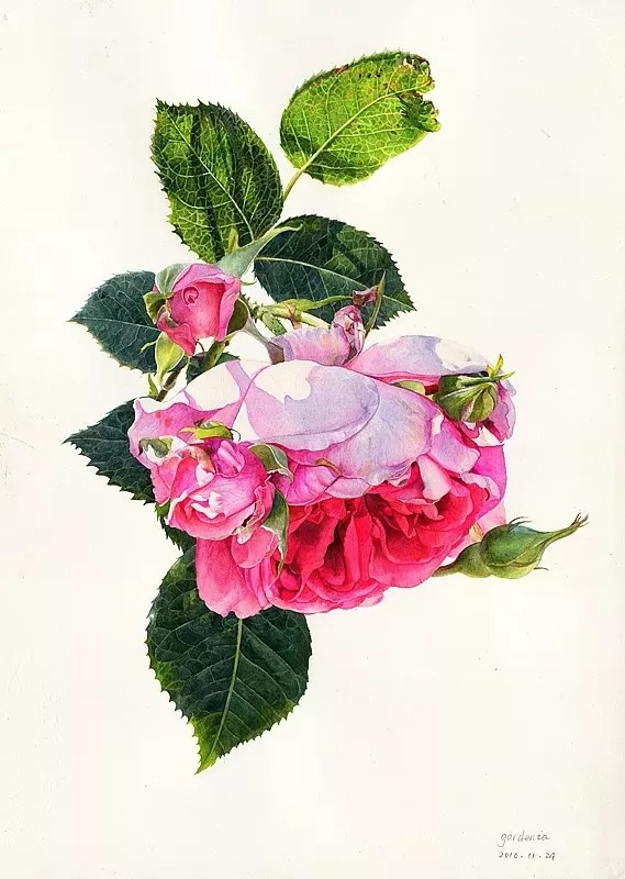 她画的超写实水彩花卉美到窒息,让人惊艳的水彩画