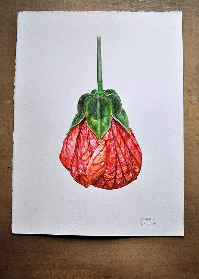她画的超写实水彩花卉美到窒息,让人惊艳的水彩画