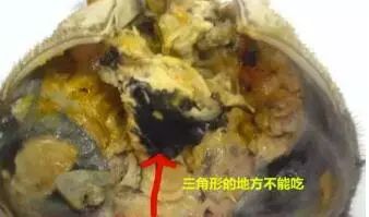 大闸蟹哪些地方不能吃图解,大闸蟹的部位哪个地方不能吃