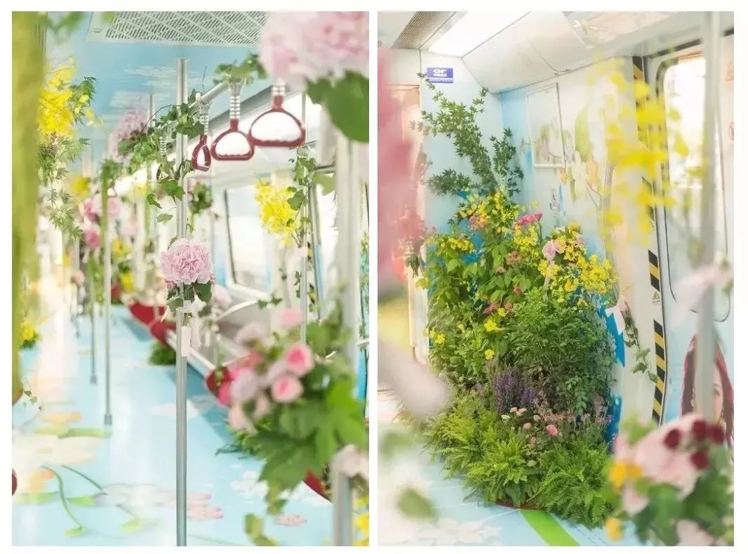 北平的秋天,北平的秋天全文