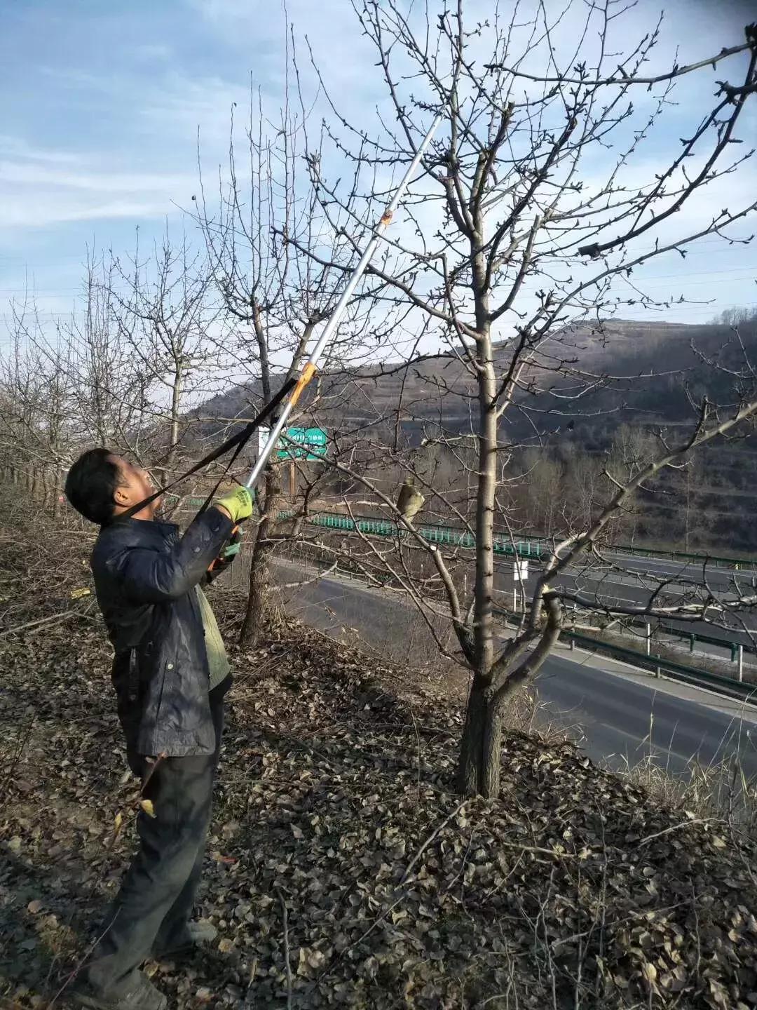 和政县三合镇尕新庄村,临夏州和政县三合镇尕新庄村
