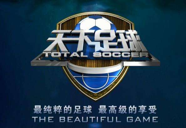 cctv怎么没有转播欧洲杯,cctv有哪些足球联赛的版权