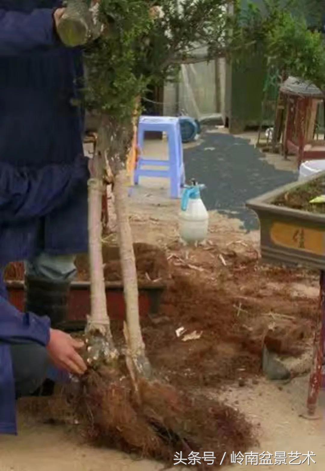 神来之笔绘画作品欣赏,神来之笔书法作品大全