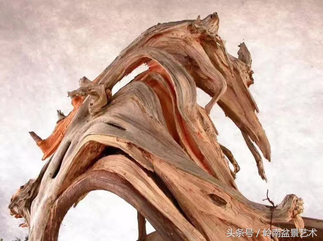 神来之笔绘画作品欣赏,神来之笔书法作品大全