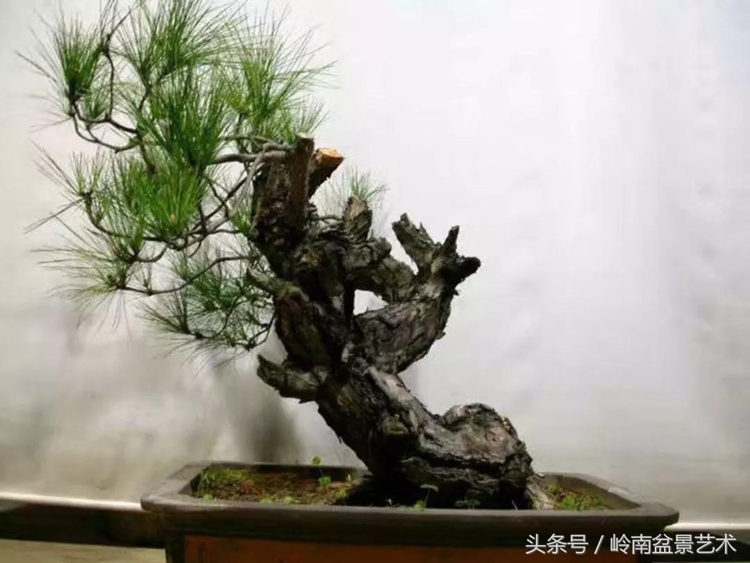 神来之笔绘画作品欣赏,神来之笔书法作品大全