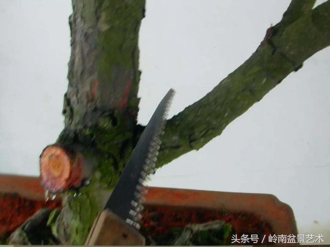 神来之笔绘画作品欣赏,神来之笔书法作品大全