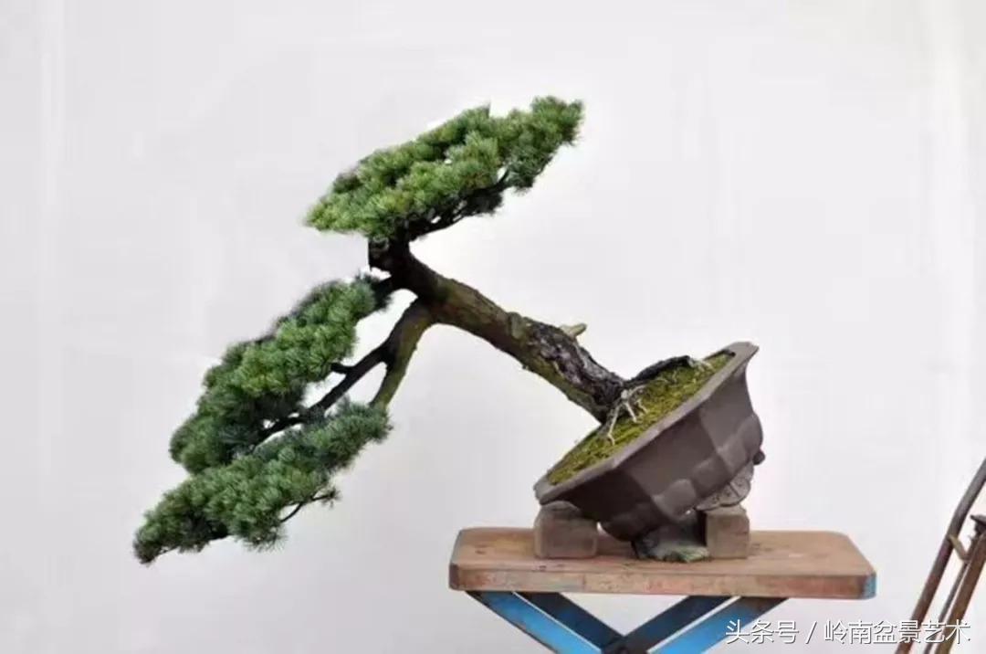 神来之笔绘画作品欣赏,神来之笔书法作品大全