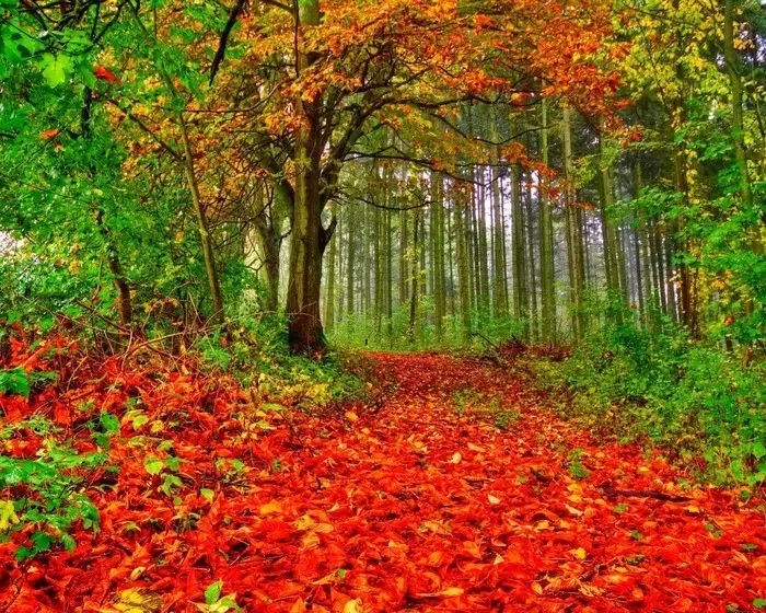 得力意义,得力于和得益于的区别