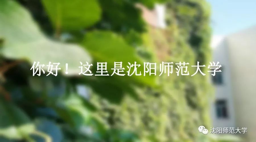唐硕：与满语“纠缠”的那些年