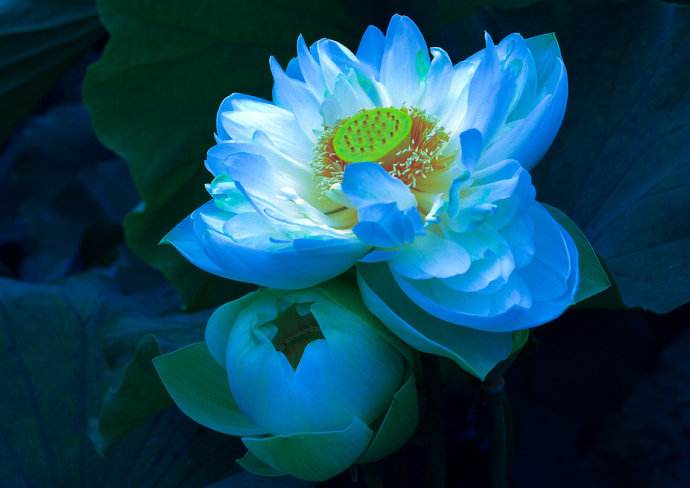 去寺庙怎么烧平安香,去寺庙可以烧61支香吗