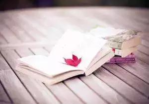 小说沉默的羔羊完整版,沉默的羔羊郑智化完整版