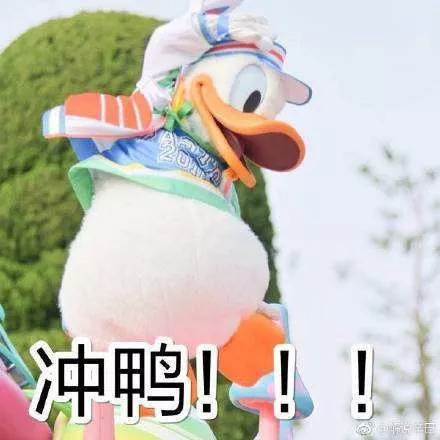 QQ宠物下线了，当年的你是悉心照料还是想掐死企鹅？