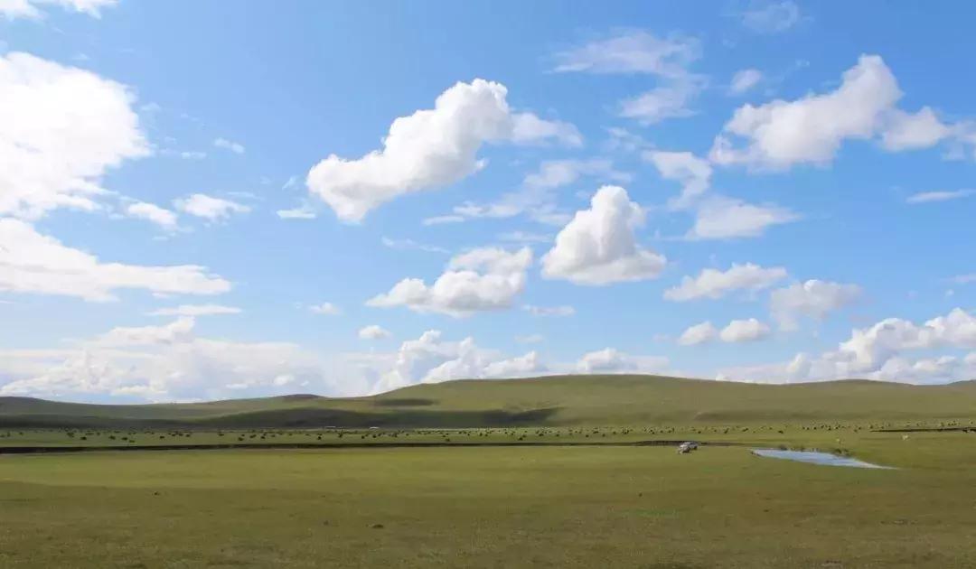 全新一代瑞虎8秘境雨林深度体验 (开19款1.6t豪华版瑞虎8自驾游)
