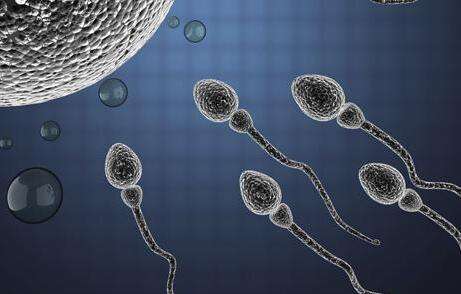 坊间生男孩生女孩的8个传闻，我们来辨别哪些是真哪些是假？