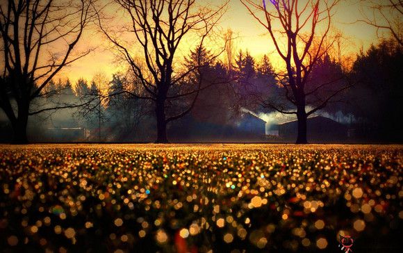 全球最暖心的英文名言,英文温暖治愈系的句子