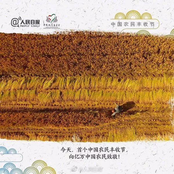 秋分中国农民丰收节会议视频,秋分共庆中国农民丰收节