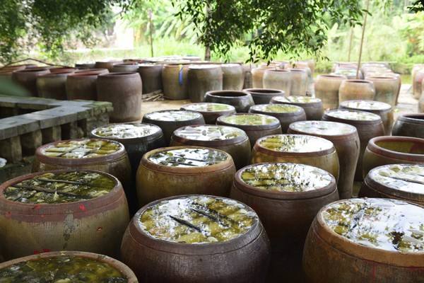 腌酸菜为啥不酸还有点苦味,腌酸菜的水为什么是黏糊糊的