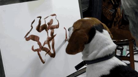 医院故事纪录片,医院发生的奇葩故事