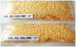 丰收节献五谷,丰收节五谷不分技巧