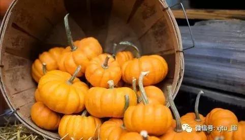 南瓜色的奔驰,奔驰南瓜马车