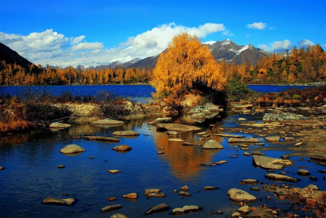 红叶秋天的一道独特风景,红叶美景惊艳了整个秋天