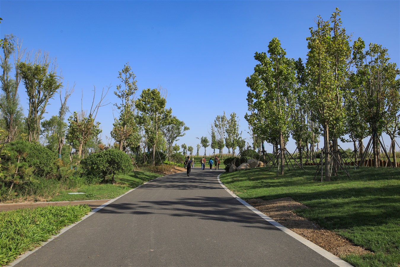 过节了泡温泉放松一下心情,商河温泉度假村一日游