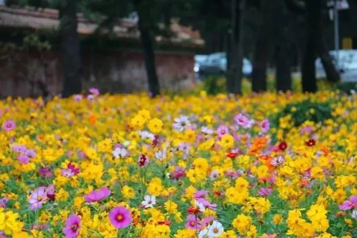 秋天适合旅游的地方易县,清西陵秋冬美景