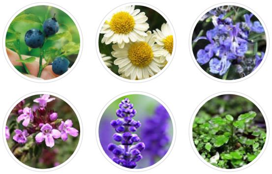 脸白美白精华,脸黑美白好物